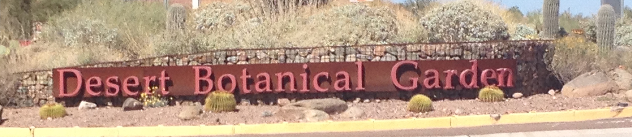 Desert Botanical Garden