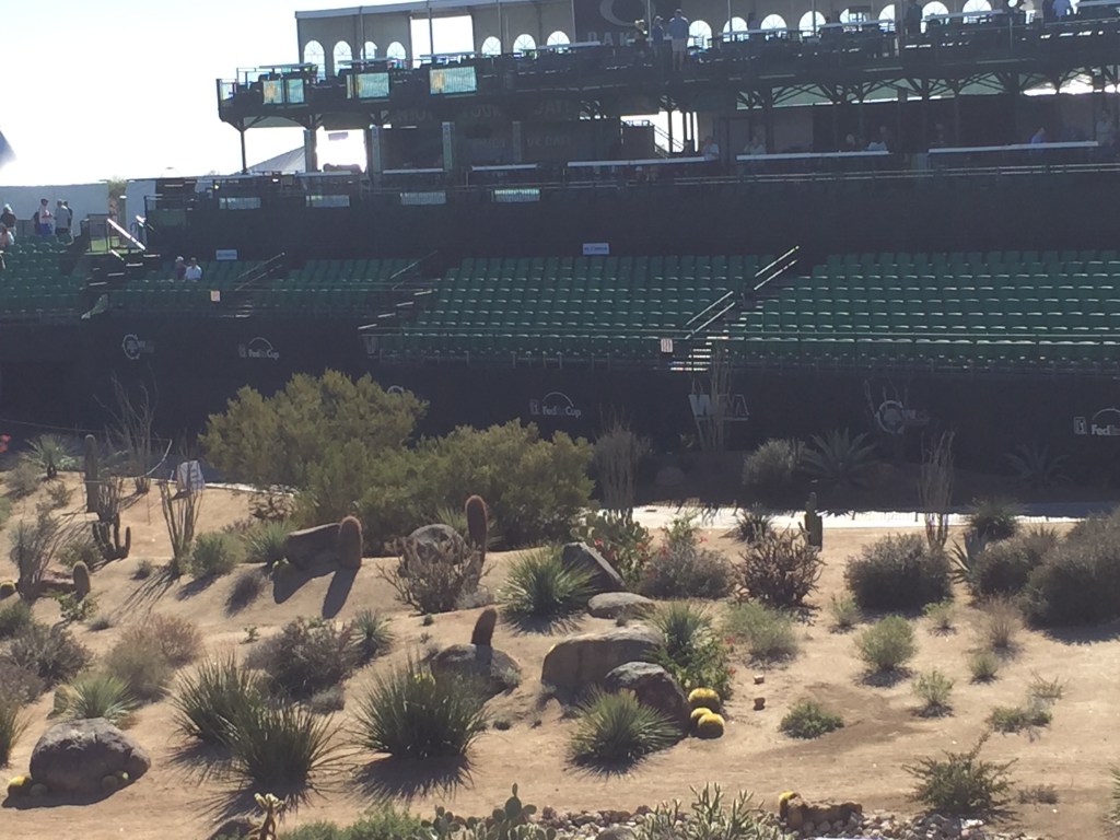 Phoenix Open Landscape